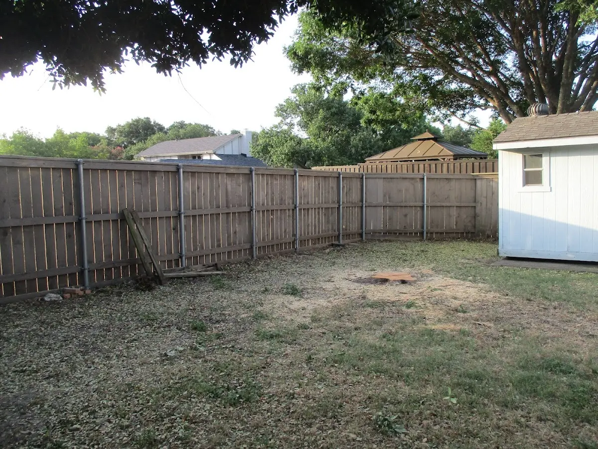 Cleared yard after professional tree removal in Linton