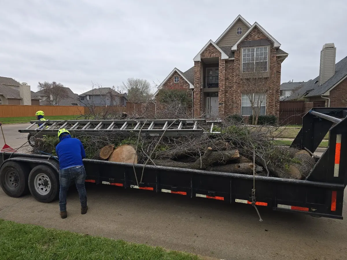 Expert Lot Clearing with proper safety equipment in Linton